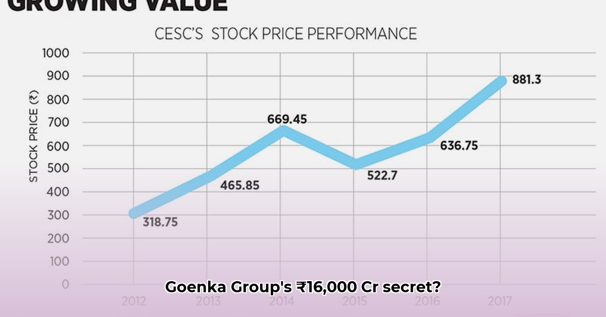 goenka-group-net-worth-growth